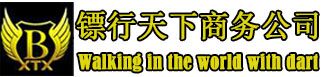 成都镖行天下商务咨询服务公司